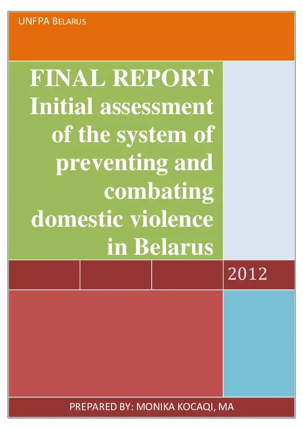 Initial assessment of the system of preventing and combating domestic violence in Belarus